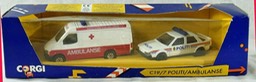 CORGIvan2